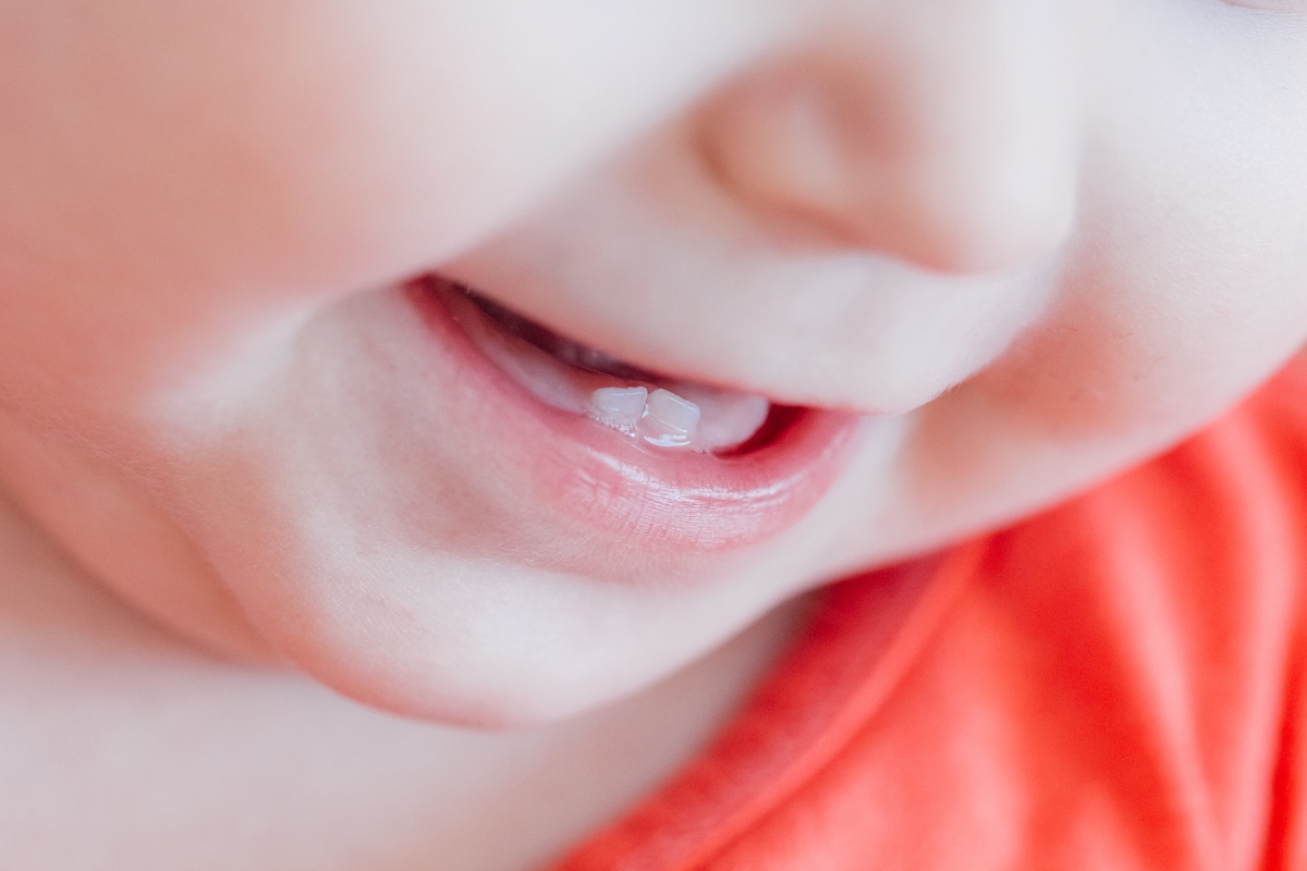 deux petites dents mignonnes dans la bouche de bébé