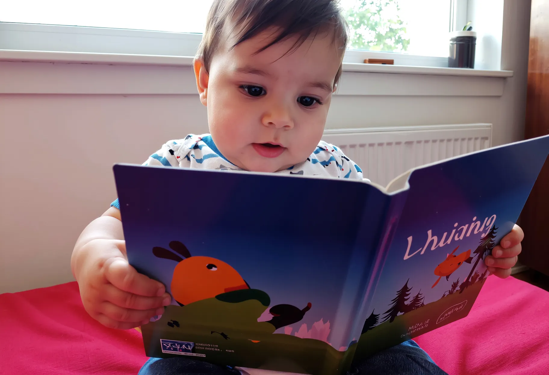 bébé de 18 mois assis avec un livre cartonné coloré à volets